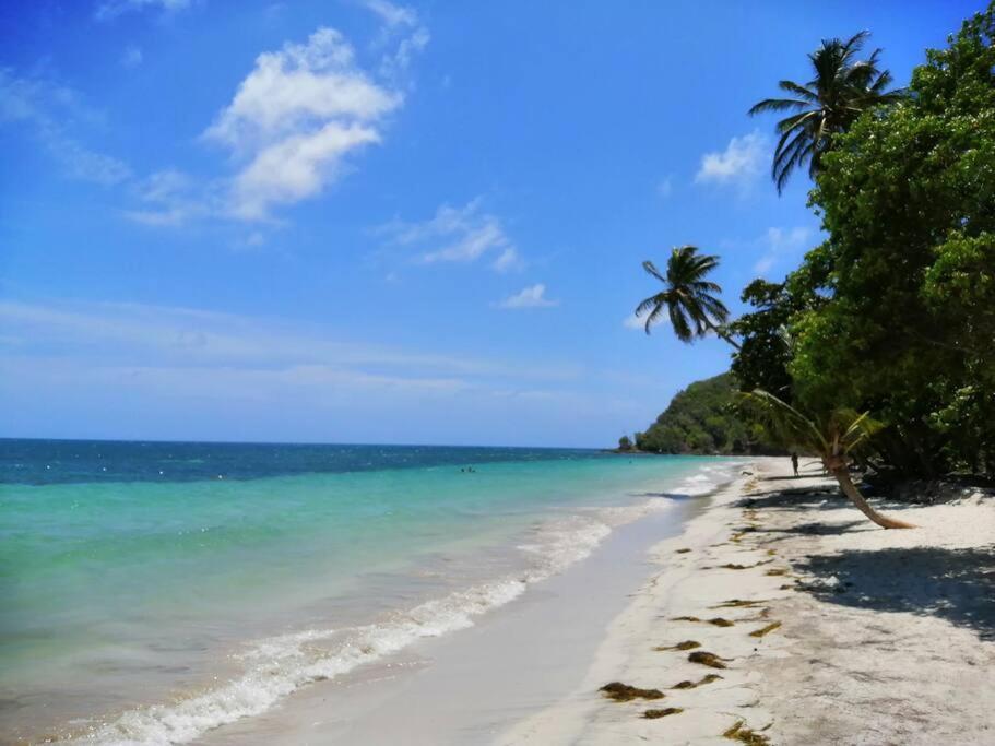 Mi Hermosa - Casa Islena A 70 Metros De La Playa Archibolds 外观 照片