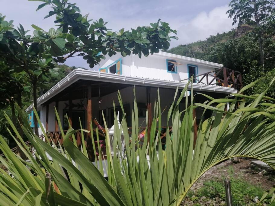 Mi Hermosa - Casa Islena A 70 Metros De La Playa Archibolds 外观 照片